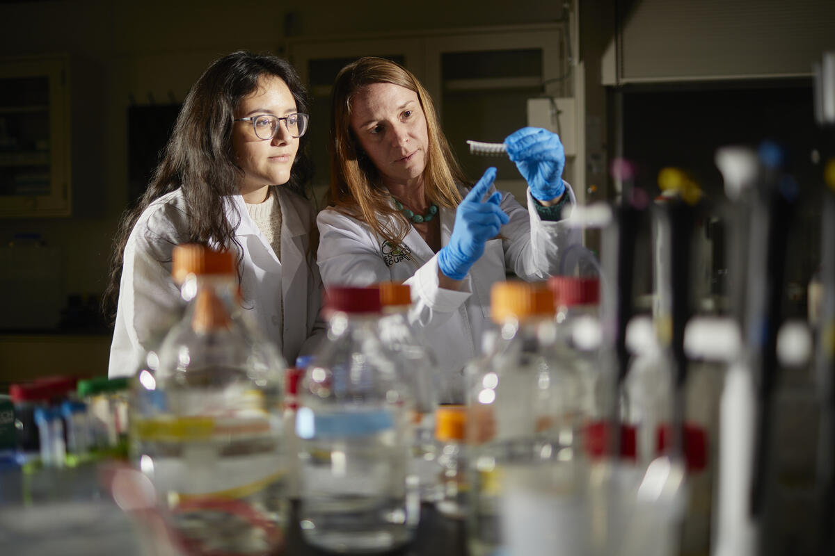 UNLV neuroscientist Rochelle Hines and a student work in the lab