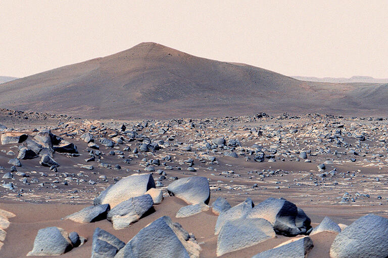 An image of rocks snapped by NASA's Mars Perseverance rover