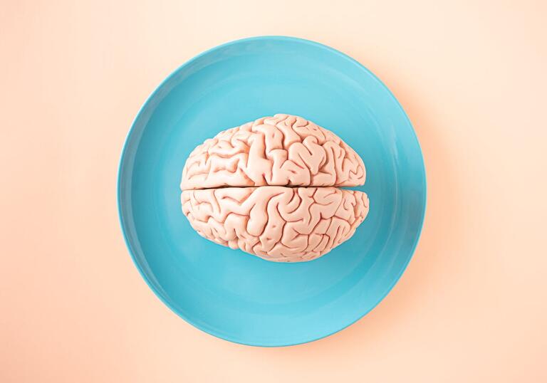 A brain model atop a blue plate
